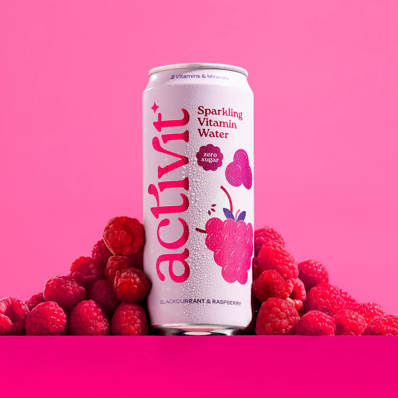 Blackcurrant & Raspberry - 330ml Cans